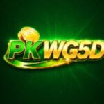 PKWG5D Game