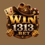 WIN1313 Game